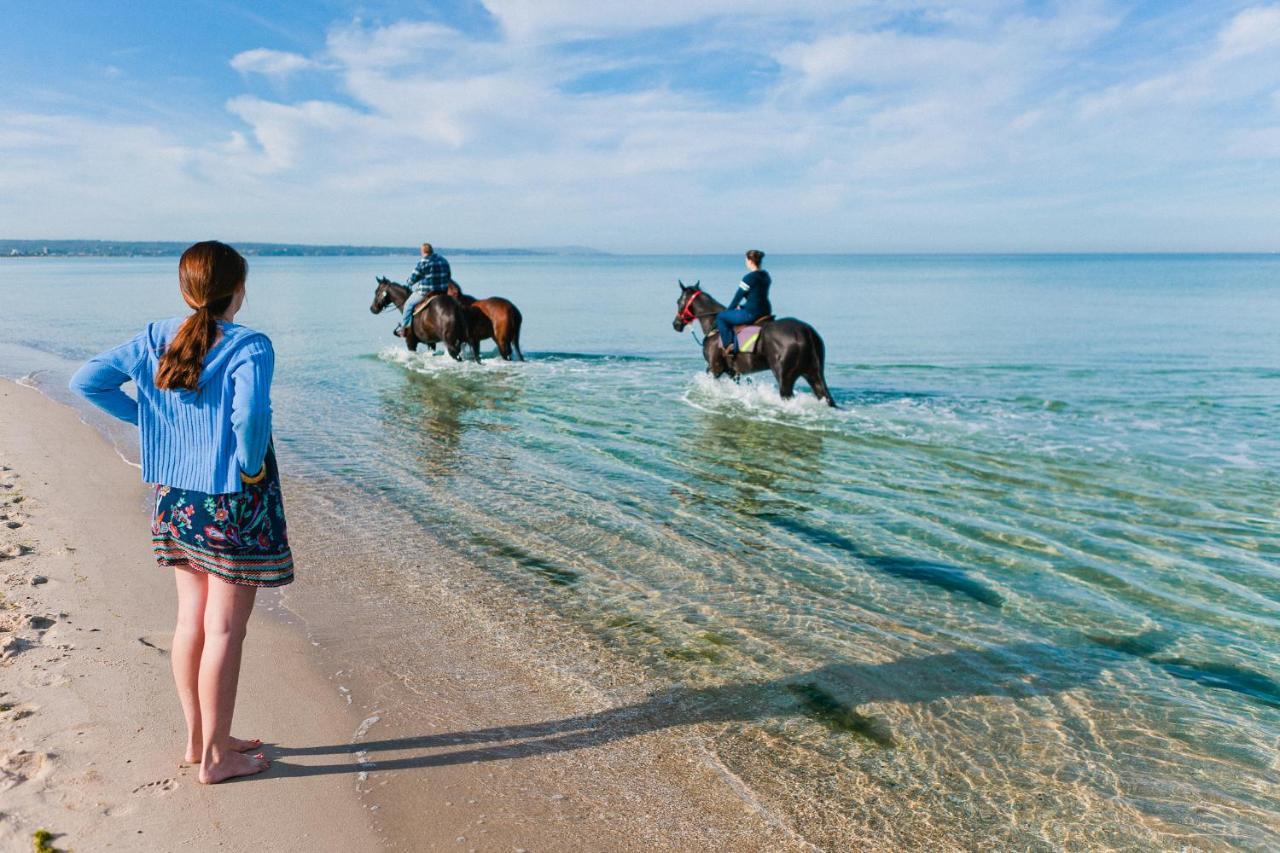 Sailaway Beach House Melbourne Bagian luar foto